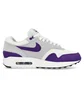 Кроссовки мужские Nike Air Max 1 Sc Grey/Violet DZ4549-101
