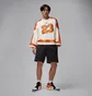 Кросівки чоловічі Air Jordan 1 Mid Multi DQ8426-801