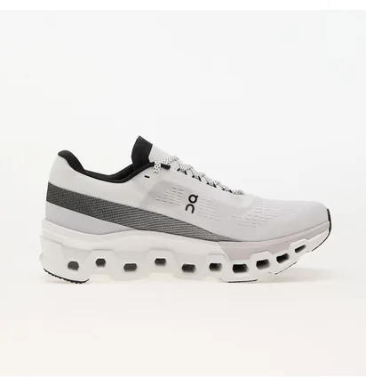 Кросівки чоловічі On M Cloudmonster 2 White 3ME10120664