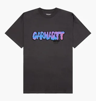 Футболка мужская Carhartt WIP Drip Logo Grey I033160-98XX