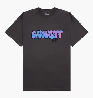 Футболка мужская Carhartt WIP Drip Logo Grey I033160-98XX