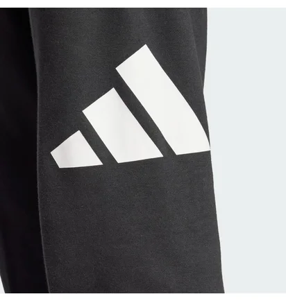Штаны мужские Adidas Bl Ft Pt Black IN6163