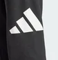 Штаны мужские Adidas Bl Ft Pt Black IN6163