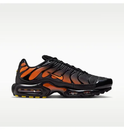 Кроссовки мужские Nike Air Max Plus MenS Shoes Black DM0032-025