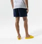 Шорты мужские Nike Swim Essential 5 Blue NESSA560-440