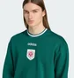 Свитшот мужской Adidas Badge Crewneck Green JX3066