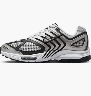 Кросівки чоловічі Nike Air Pegasus 2005 Metallic HQ3031-002