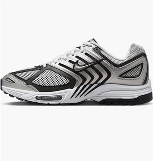 Кроссовки мужские Nike Air Pegasus 2005 Metallic HQ3031-002