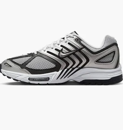 Кросівки чоловічі Nike Air Pegasus 2005 Metallic HQ3031-002