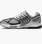 Кросівки чоловічі Nike Air Pegasus 2005 Metallic HQ3031-002