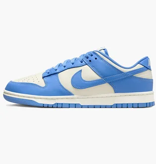 Кросівки чоловічі Nike Dunk Low Retro White/Light Blue DV0833-113