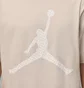 Футболка чоловіча Air Jordan Brooklyn MenS T- Shirt Beige IF0399-104