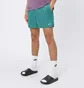 Шорты мужские Nike Swim Essential 5 Shorts Green NESSA560-302