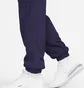 Штаны мужские Nike Windrunner Pants Violet FB8616-555