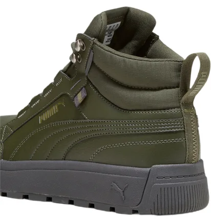 Кросівки чоловічі Puma Tarrenz Sb Iii Puretex Green 393930-03