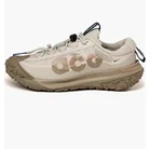 Кроссовки мужские Nike Acg Mountain Fly 2 Low Beige DV7903-101