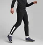 Штаны мужские Puma Individualliga Casuals Pants Black 65812403