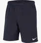 Шорти дитячі Nike Flc Park20 Short Kz Blue CW6932-451