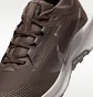 Кроссовки женские Nike Pegasus Trail 5 Brown FQ0912-012