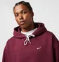 Худі чоловіче Nike Nrg Premium Essentials Hoodie Violet DX1355-681