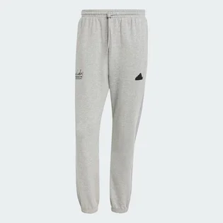 Штаны мужские Adidas Sweatpants Grey IW3538