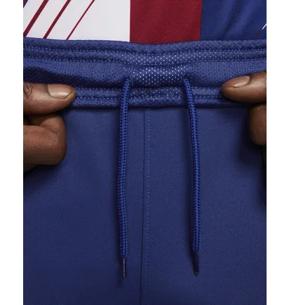 Шорты мужские Nike Dri-Fit Fc Barcelona Stadium 2023/24 Blue DX2709-455