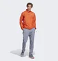 Ветровка мужская Adidas Terrex Multi Windbreaker Orange HM4027
