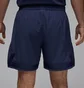 Шорти чоловічі Air Jordan Dri-Fit Woven Diamond Blue FQ2989-410