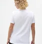 Футболка жіноча Dickies Mapleton White DK0A4XDAWHX1