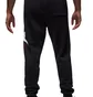 Штаны мужские Air Jordan M J Ess Flc Baseline Pant Black FD7345-010