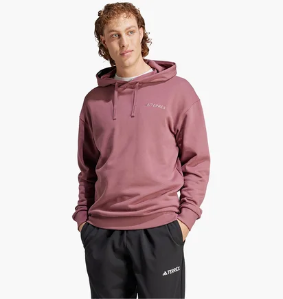 Худи мужское Adidas Terrex Logo Hoodie Violet IN4715