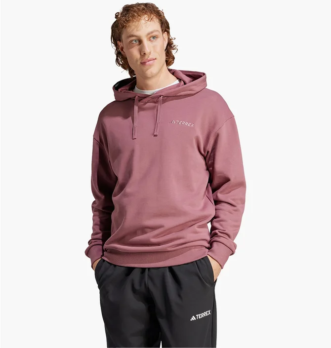 Худи мужское Adidas Terrex Logo Hoodie Violet IN4715