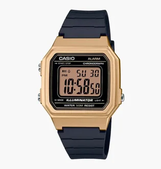 Часы мужские Casio W-217HM-9A