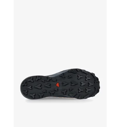 Кросівки чоловічі Salomon Thundercross Gtx Grey 473831