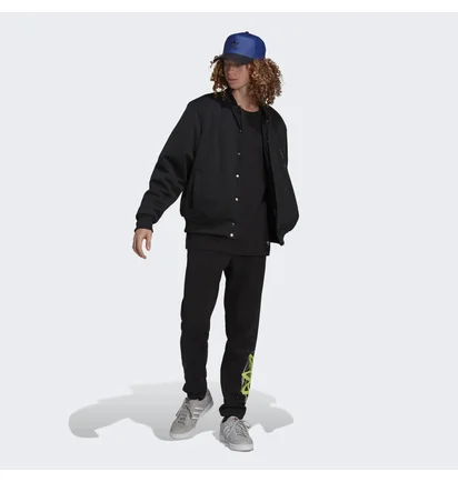 Штаны мужские Adidas Graphics Behind The Trefoil Sweat Black HC7982