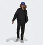 Штаны мужские Adidas Graphics Behind The Trefoil Sweat Black HC7982