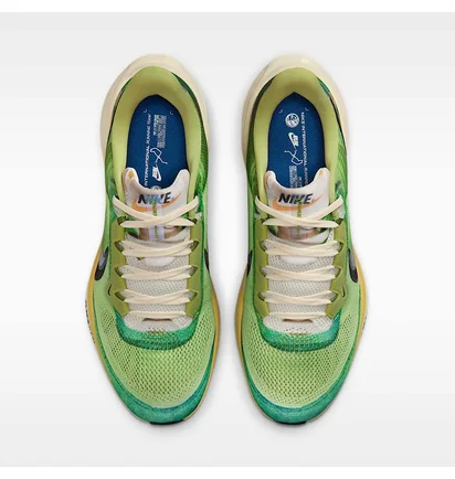 Кросівки чоловічі Nike Air Zoom Pegasus 41 Se International Running Pack Green IH3583-999