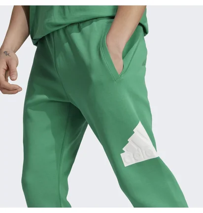 Штани чоловічі Adidas Future Icons Badge Of Sport Pants Green IC3763