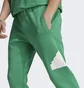 Штани чоловічі Adidas Future Icons Badge Of Sport Pants Green IC3763