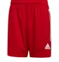 Шорты мужские Adidas Condivo 20 Short Red FI4569