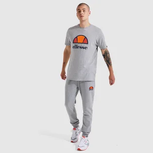 Футболка мужская Ellesse Dyne Tee Grey SXG12736-112