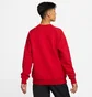Свитшот мужской Nike Masterpiece Pack Photo Print Crew Neck Fleece Sweatshirt Red Dd6515-687