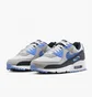 Кросівки чоловічі Nike Air Max 90 Grey Dq4071-101