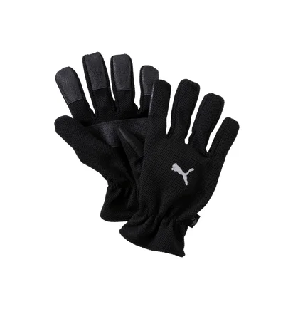 Перчатки вратарские унисекс Puma Football Winter Field Black 040014-01