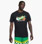Футболка мужская Nike T-Shirt Dri-Fit Black FD0069-010