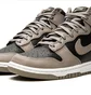 Кроссовки женские Nike Dunk High Wmns Black/Brown DD1869-002