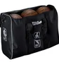 Сумка для мячей Wilson Nba Authentic 6 Ball Bag Black WTBA70000