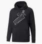 Худи мужское Puma Essentials+ Big Logo Hoodie Black 849864-01