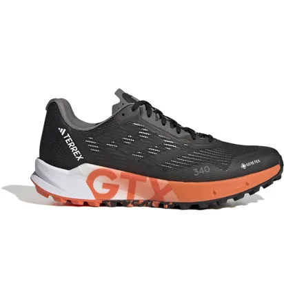 Кросівки чоловічі Adidas Terrex Agravic Flow 2 Gtx Black HR1110
