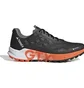 Кросівки чоловічі Adidas Terrex Agravic Flow 2 Gtx Black HR1110